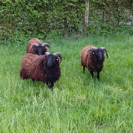 Ardennature Met Prive-sauna Dom wakacyjny