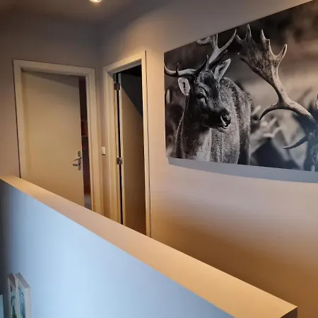 Ardennature Met Prive-sauna Ferienhaus *