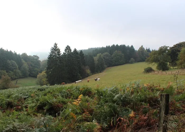 Tatil Evi Ardennature Met Prive-sauna *