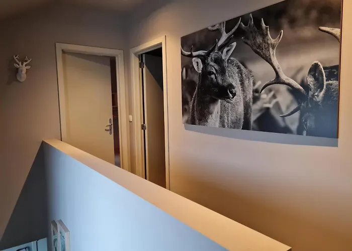 Ardennature Met Prive-sauna Tatil Evi *